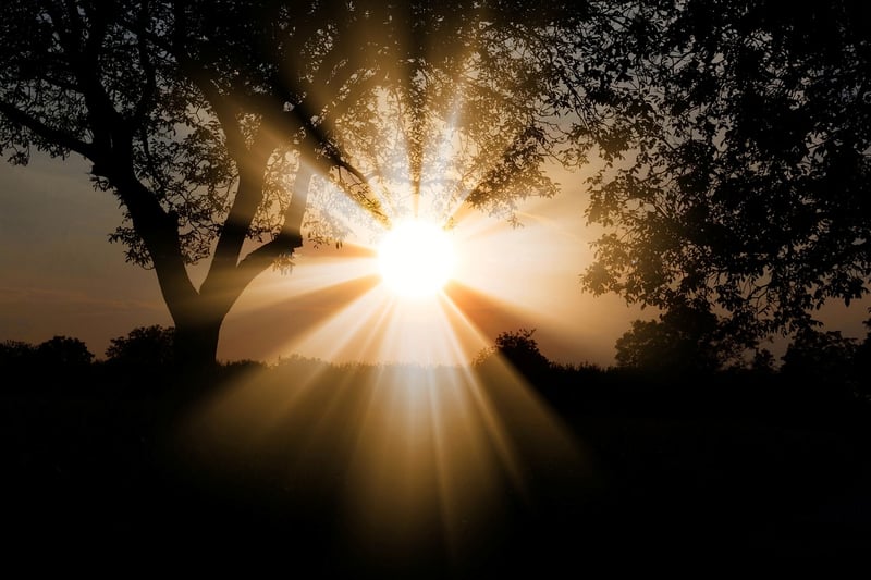 Maximizing sunlight